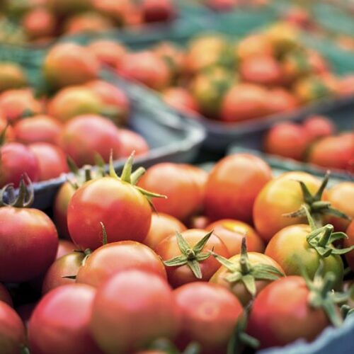 marché d'été villiers charlemagne - tomates